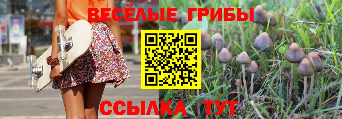 Галлюциногенные грибы мухоморы Пугачёв